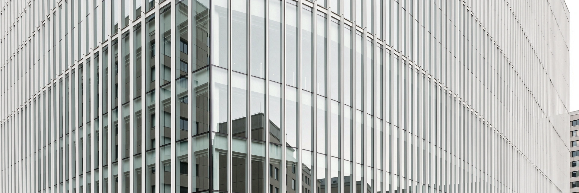 Professional Environment